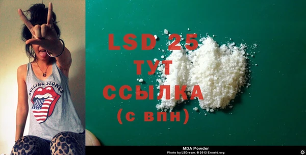 PSILOCYBIN Алзамай