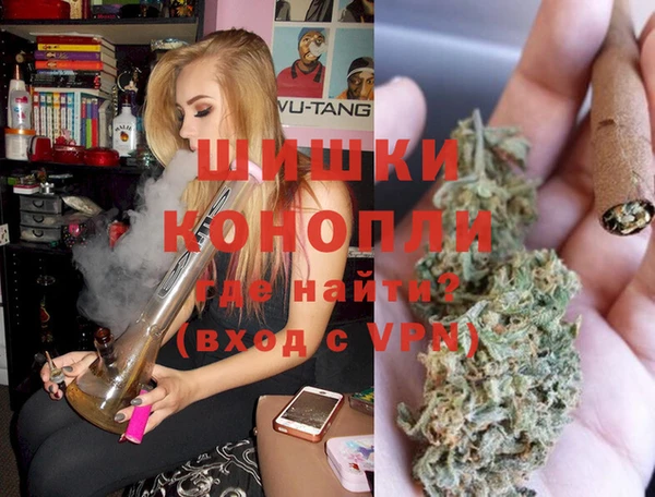 PSILOCYBIN Алзамай
